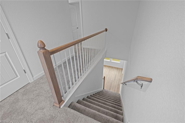 stairs with carpet flooring