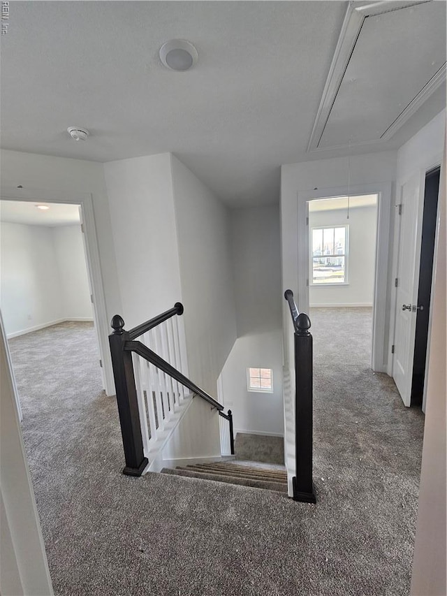 307 Iris Cir, Moyock, NC 27958 - stairway featuring attic access, carpet, plenty of natural light, and baseboards