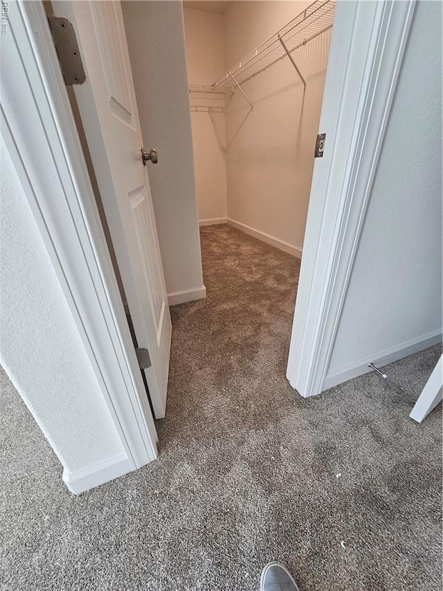 307 Iris Cir, Moyock, NC 27958 - spacious closet with carpet flooring