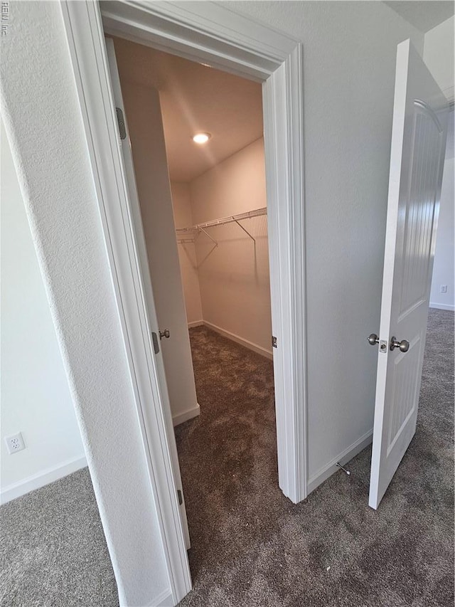 307 Iris Cir, Moyock, NC 27958 - walk in closet with carpet flooring