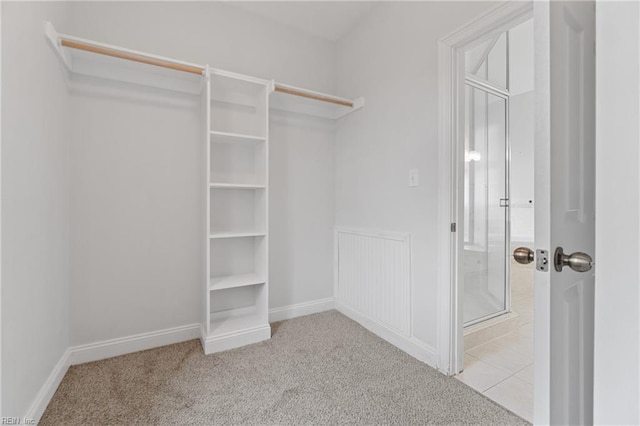 walk in closet with light colored carpet