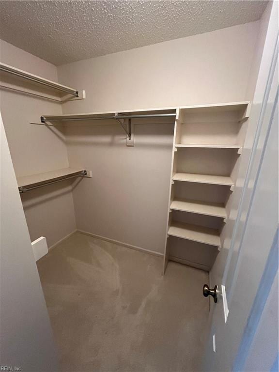 walk in closet with carpet floors