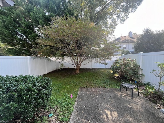 view of yard with a patio