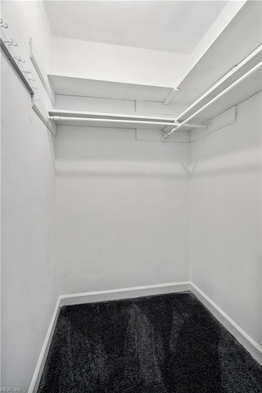 walk in closet featuring carpet