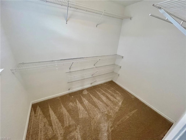 spacious closet with carpet flooring