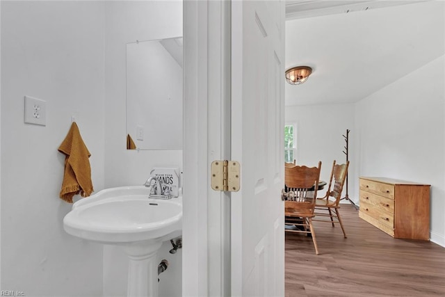 bathroom with hardwood / wood-style floors