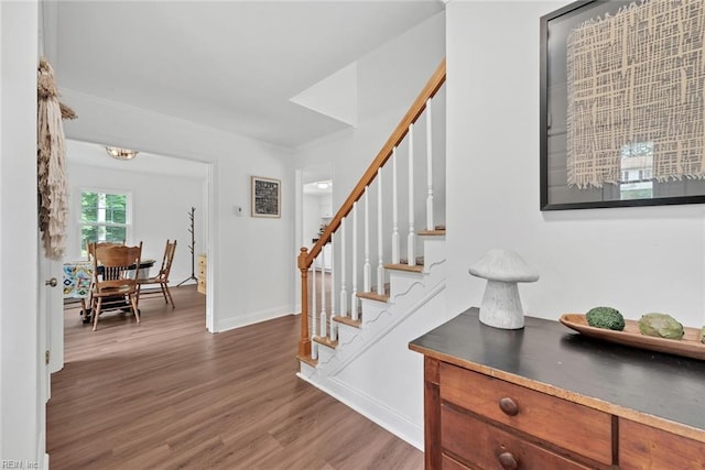 foyer with hardwood / wood-style floors