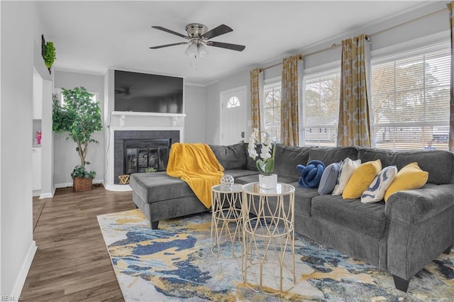 living room with dark wood-type flooring, ceiling fan, and ornamental molding