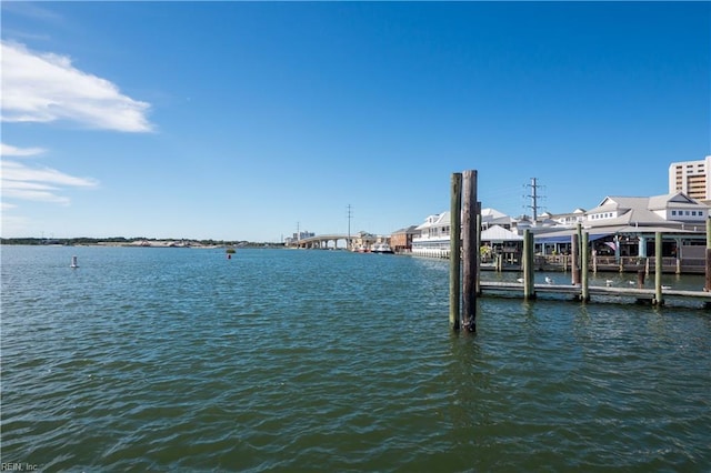 dock area with a water view