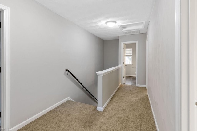 hall featuring light colored carpet