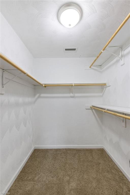 walk in closet with carpet flooring