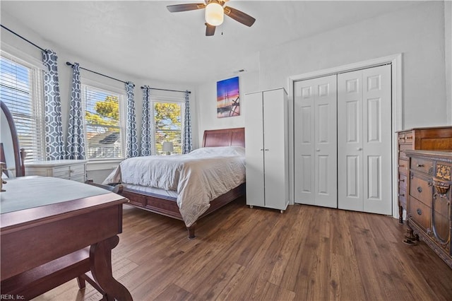 bedroom featuring dark hardwood / wood-style floors and ceiling fan