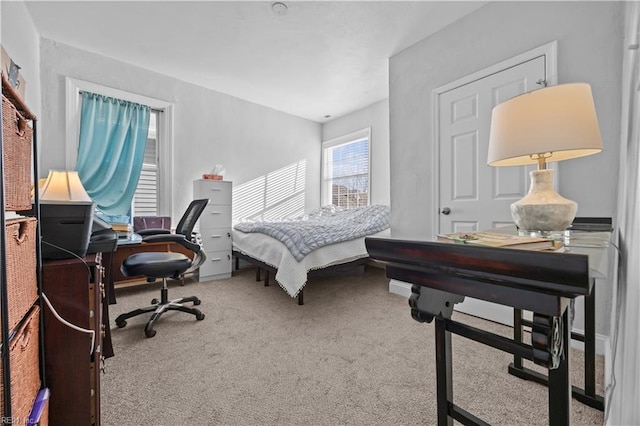 bedroom with carpet flooring