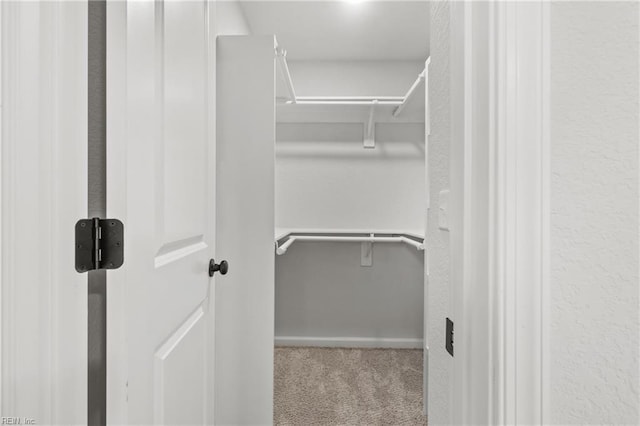 spacious closet featuring carpet