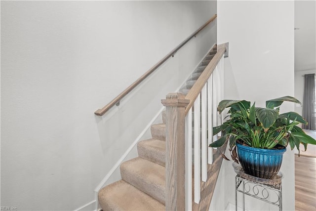 stairway with hardwood / wood-style flooring