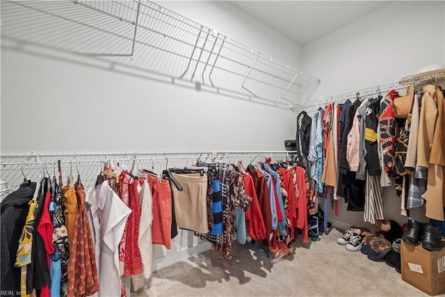 spacious closet featuring carpet