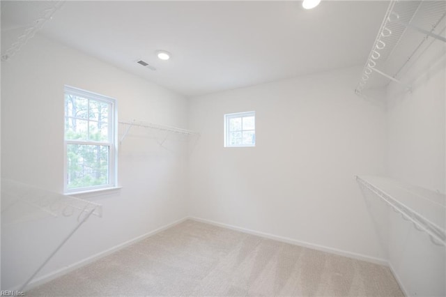 spacious closet featuring light colored carpet