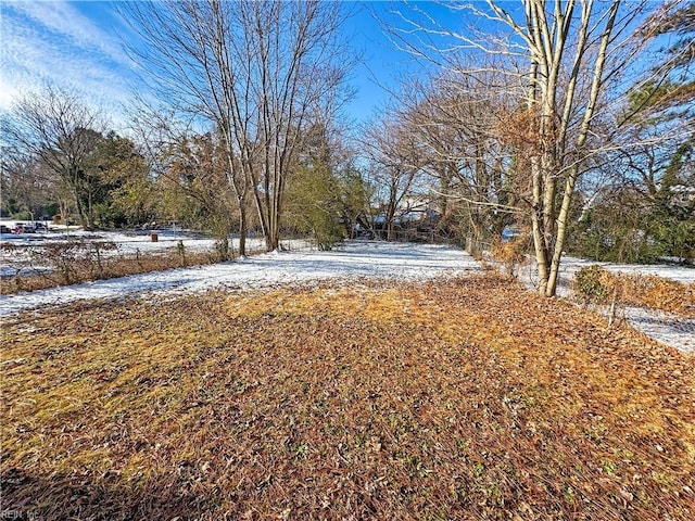 view of yard layered in snow