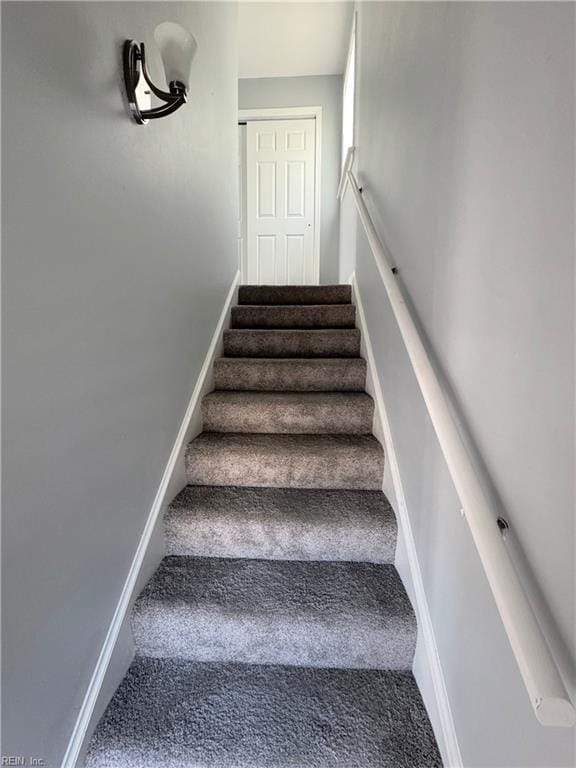 stairs featuring carpet floors