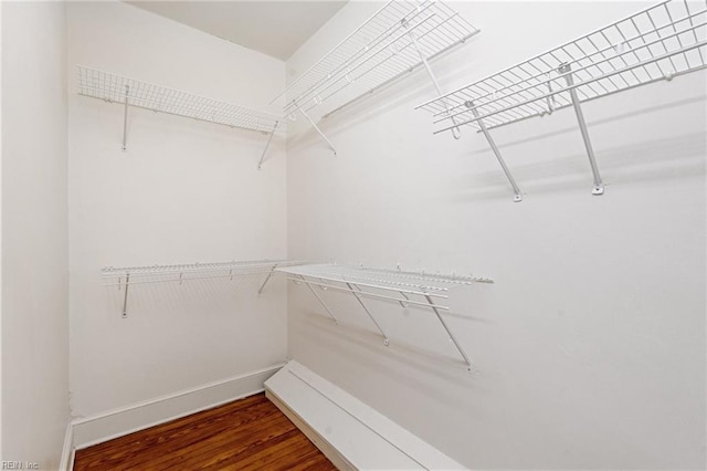 spacious closet featuring dark hardwood / wood-style flooring