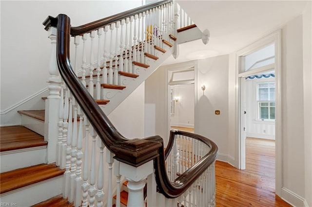 staircase with hardwood / wood-style floors