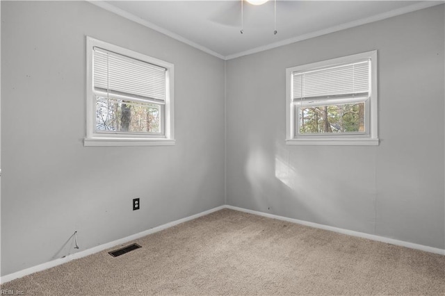 spare room featuring carpet floors, ornamental molding, and ceiling fan