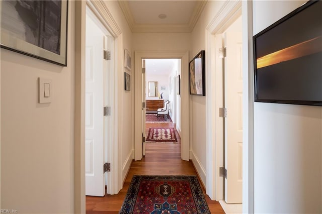 hallway featuring wood-type flooring and ornamental molding