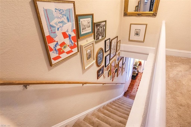 stairs with carpet flooring