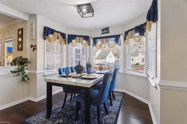 dining room featuring plenty of natural light and dark hardwood / wood-style flooring