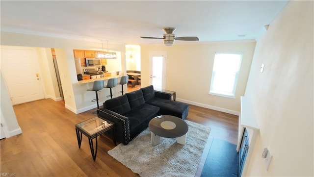 living room featuring ornamental molding, light hardwood / wood-style floors, and ceiling fan