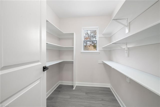 spacious closet with hardwood / wood-style floors