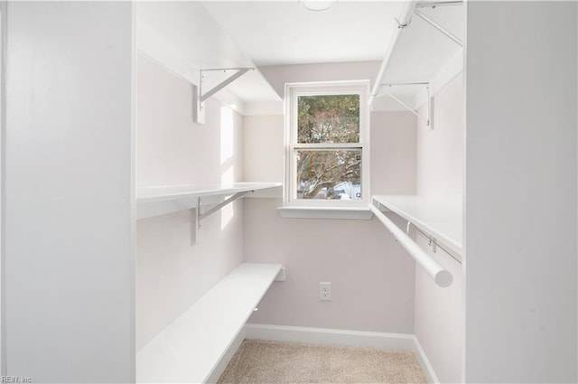 spacious closet with carpet flooring