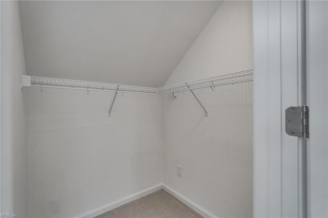 walk in closet featuring vaulted ceiling and carpet flooring