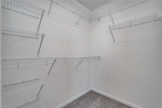 spacious closet with carpet flooring