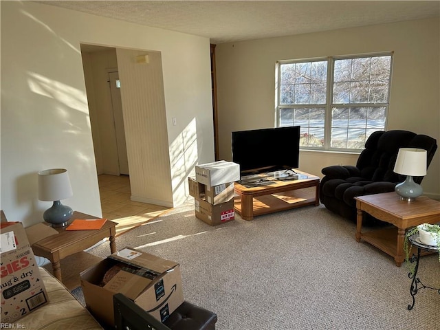 living room featuring light colored carpet and a textured ceiling