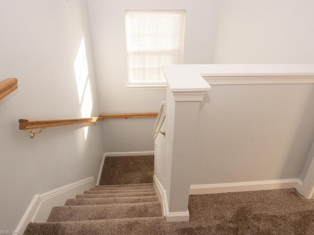 staircase featuring carpet floors