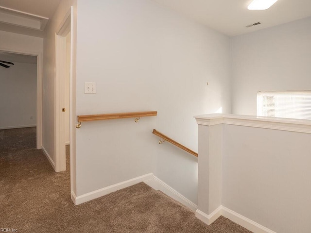 staircase featuring carpet floors