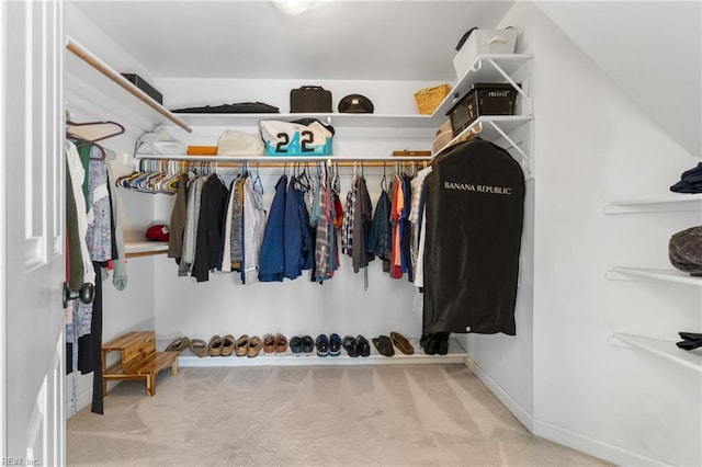 spacious closet with light carpet