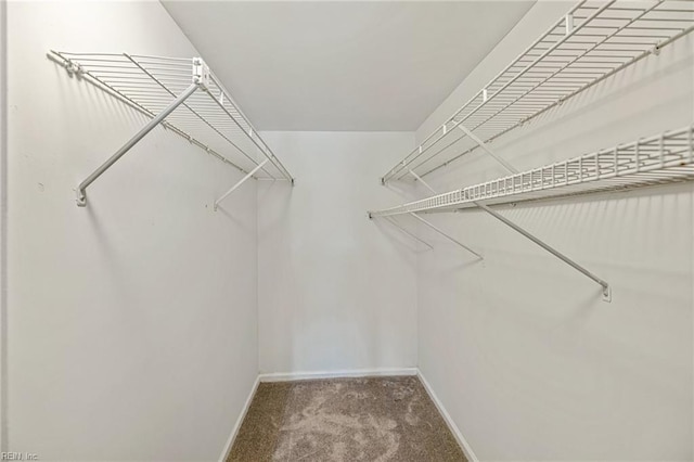 walk in closet featuring carpet flooring