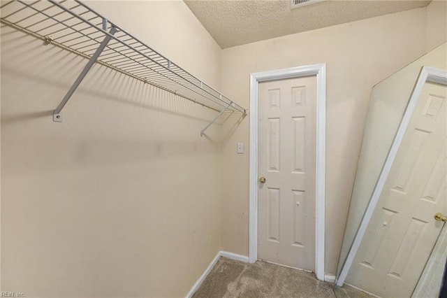 spacious closet featuring carpet flooring