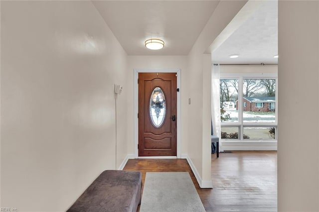 entryway with a wealth of natural light and dark hardwood / wood-style floors