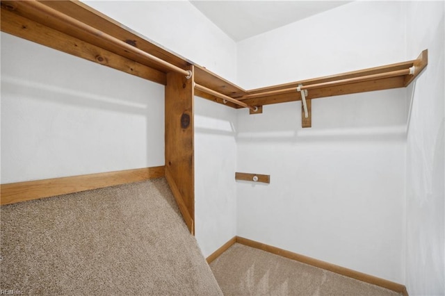 walk in closet featuring light colored carpet