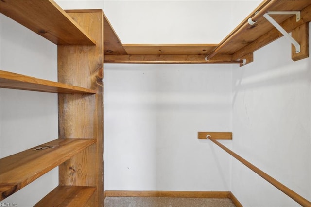 spacious closet featuring carpet floors