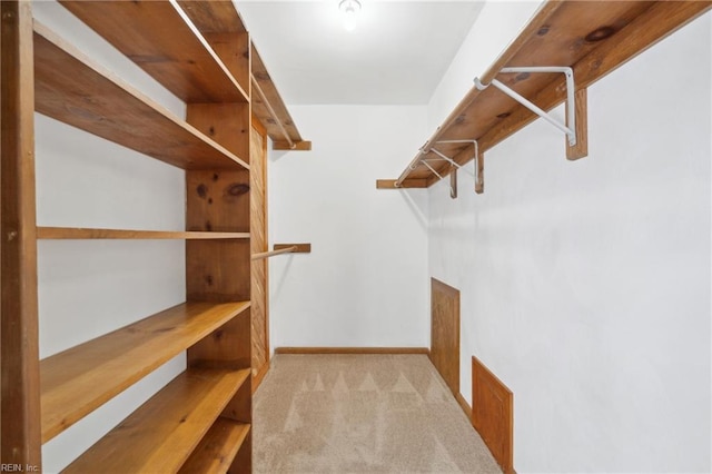 spacious closet featuring light colored carpet