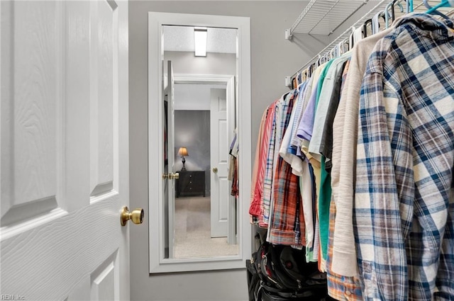 view of walk in closet