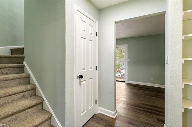 staircase featuring hardwood / wood-style floors