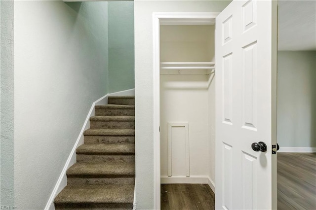 stairway with wood-type flooring