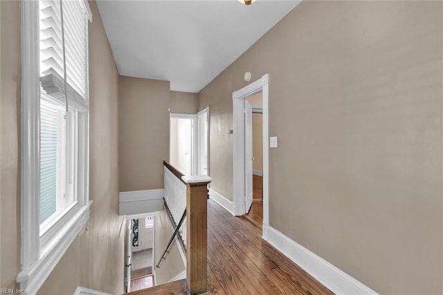 hall with hardwood / wood-style flooring and a healthy amount of sunlight