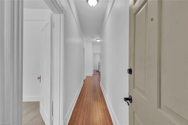 corridor featuring ornamental molding and light wood-type flooring