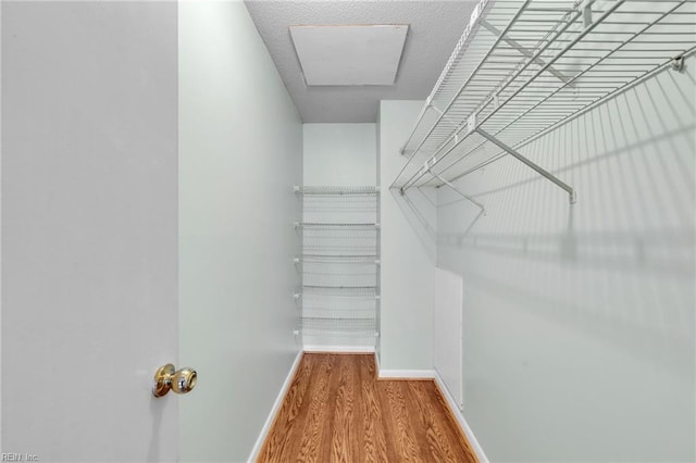 spacious closet with wood-type flooring